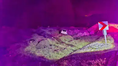 Bingöl'de otomobilin şarampole girmesi sonucu 8 kişi yaralandı