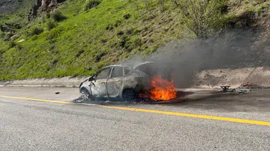 Vauk Dağı'nda seyir halindeki otomobilde yangın paniği