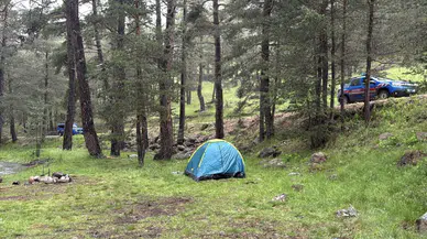 Bolu'da ormanlık alana yıldırım düştü : Piknik yapan 3 kişi yaralandı