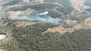 Muğla Milas'ta zirai yangın : Ekipler havadan ve karadan müdahale etti