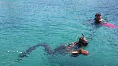 Muğla Bodrum'da deniz dibi temizliği : 260 kilogram atık çıkarıldı