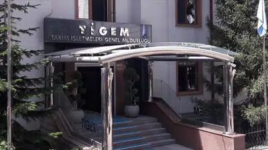 TİGEM 1000 reforme küçükbaş hayvan için ihale açtı