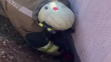 Molozların altında kalan yavru kediyi itfaiye kurtardı
