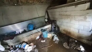 Van Muradiye'de yangın : Ev ve ahırda maddi hasar oluştu