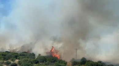 Çanakkale Ezine'de ormanlık alanda yangın