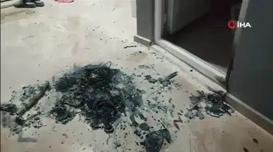 Sakarya Karasu'da bebek arabalarını yakan şahıs gözaltına alındı