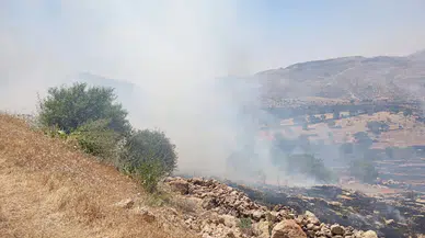 Mardin'de ormanlık alanda yangın çıktı