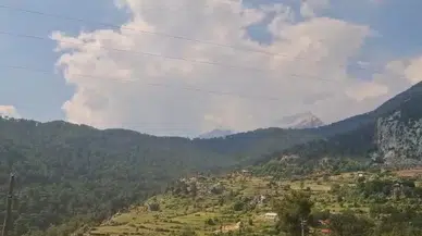 Antalya Serik'te orman yangını