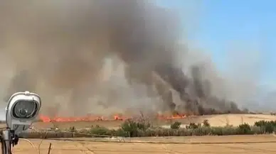 Tekirdağ'da bir sigara izmariti 100 dönüm buğday tarlasını kül etti