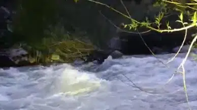 Bingöl'de nehre düşen şahsı arama çalışmaları sürüyor