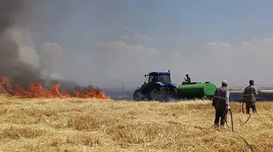 Diyarbakır'da yüzlerce dönümlük arazi küle döndü