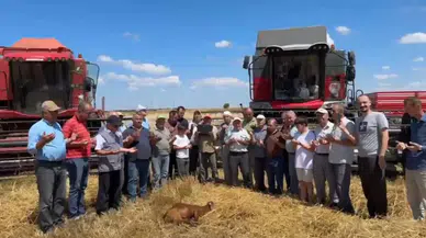 Edirne'de buğday hasadı üreticilerin dualarıyla başladı