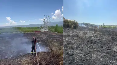 Mersin Mut'ta 15 dönümlük bahçe yandı
