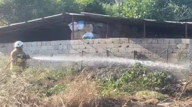 Hatay Hassa'da bahçe yangını : Ekipler kontrol altına aldı
