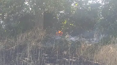 Çanakkale'de tarla yangını : 2 ekili alan kül oldu