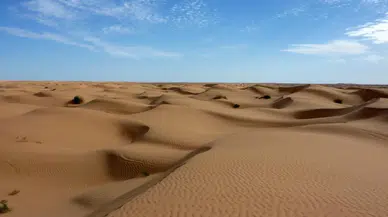 Sahara Çölü'nde feci olay : 50 kişi susuzluktan hayatını kaybetti