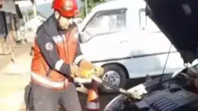 Hendek'te otomobil motoruna giren yılanı itfaiye çıkardı