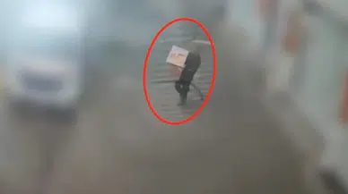 Bingöl'de evden hırsızlık operasyonu : 1 şüpheli tutuklandı