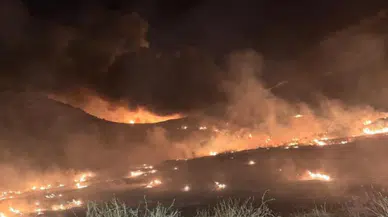 Mersin'de çöp sahasında çıkan yangın ormanlık alana sıçradı