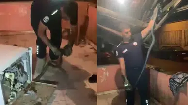 Hatay'da bulaşık makinesine yılan girdi