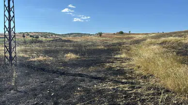 Kütahya'da hasat sırasında yangın çıktı : 15 dönüm tarla kül oldu