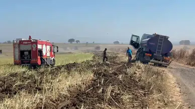 Tekirdağ'da kanola ve anız yangını : 300 dönüm alan zarar gördü