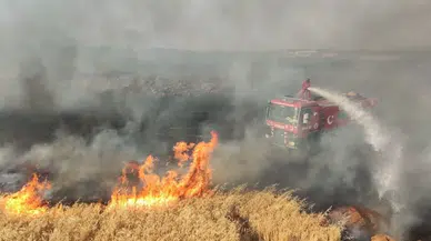 Tekirdağ’da buğday tarlasında yangın : 100 dekar alan küle döndü