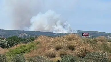 İzmir'de makilik alandan yangın çıktı