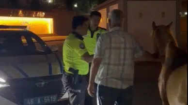 Kahramanmaraş'ta çiftlikten kaçan atları trafik polisleri bulup teslim etti