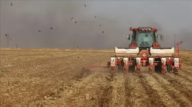 Gübre fiyatları yüzde 62’yi aştı