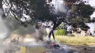 Tekirdağ'da hurdadan çıkan yangın yarım asırlık ağaca sıçradı