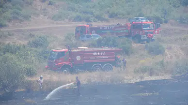 Muğla'da ormanlık alanda çıkan yangın söndürüldü