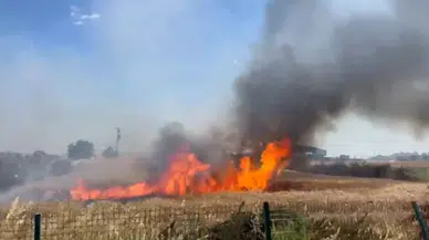 Edirne'de buğday tarlasında yangın
