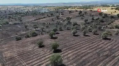 Uşak'ta tarım arazi yandı : 600 dekar ekili alan zarar gördü