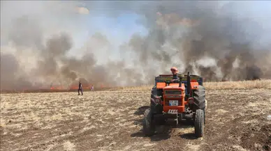 Tekirdağ Çorlu'da 80 dekar buğday ekili alan yandı