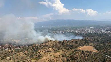 Aydın Nazilli'de zirai alanda yangın çıktı