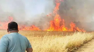 Şanlıurfa'da 50 dönümlük buğday tarlası küle döndü
