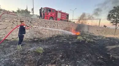 Hatay Kırıkhan'da yangın : Zeytinlik alan zarar gördü