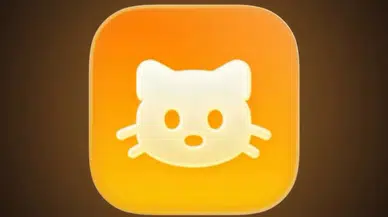 Pokemon GO benzeri kedi yakalama uygulaması Cat Me If u Can yayınlandı