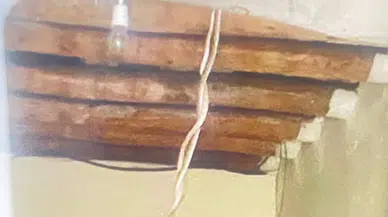 Hakkari’de toprak evi yılanlar sardı !