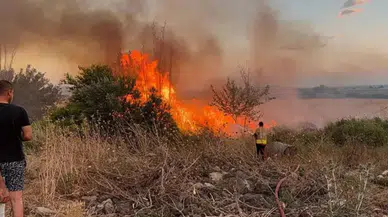 Hatay'da anız yangını bahçelere sıçradı