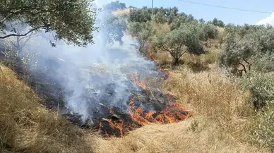 Aydın'da makilik alanda yangın çıktı : 40 dekar alan zarar gördü