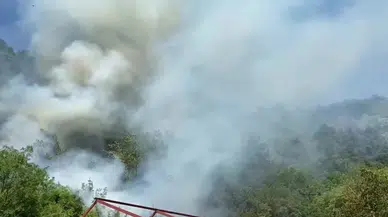 Bursa'da ormanlık alanda yangın : Ekiplerin çalışmaları devam ediyor