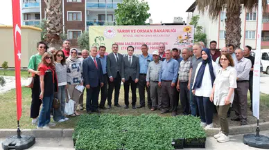 Aydın Buharkent'te 38 bin domates fidesi dağıtıldı