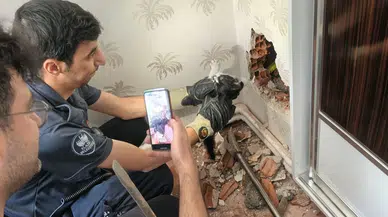 Elazığ'da baca boşluğuna sıkışan yavru kedi kurtarıldı