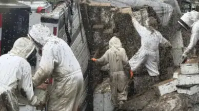 ABD'de arı kovanı yüklü tır devrildi : 2 milyon arı çevreye saçıldı
