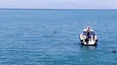 Van Gevaş'ta kaza : Otomobil Van Gölü'ne uçtu, sürücü yaralandı