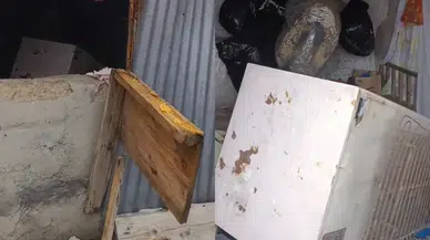 Rize'de bir ayı, 20 eve girerek maddi hasara neden oldu