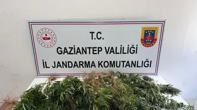 Gaziantep'te uyuşturucu ile mücadele operasyonu