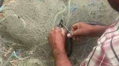 Hatay'da balık ağına dolanan 1,5 metrelik kara yılanı elleriyle kurtardı